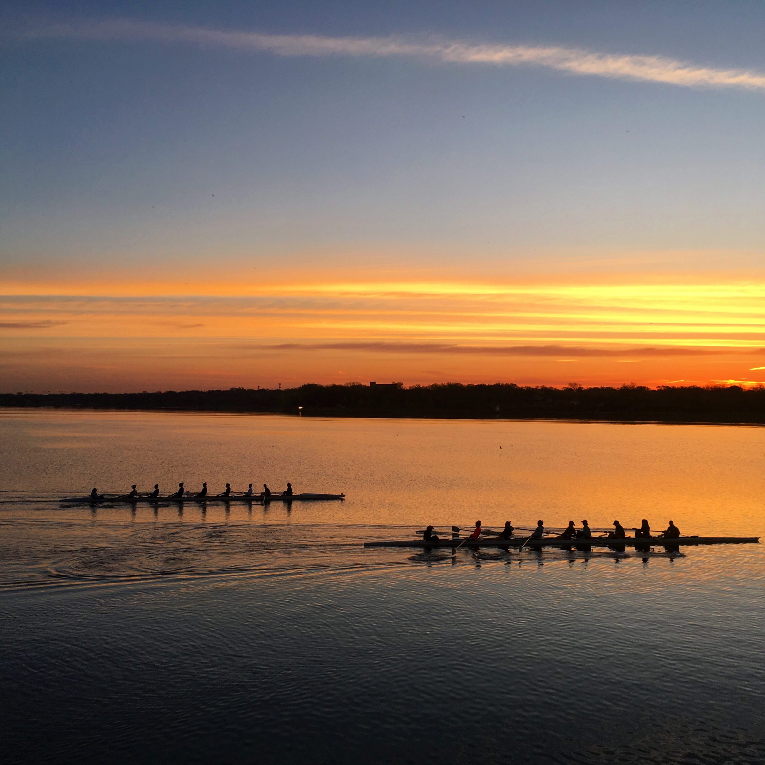 Sunset Rowers by Sue Benner